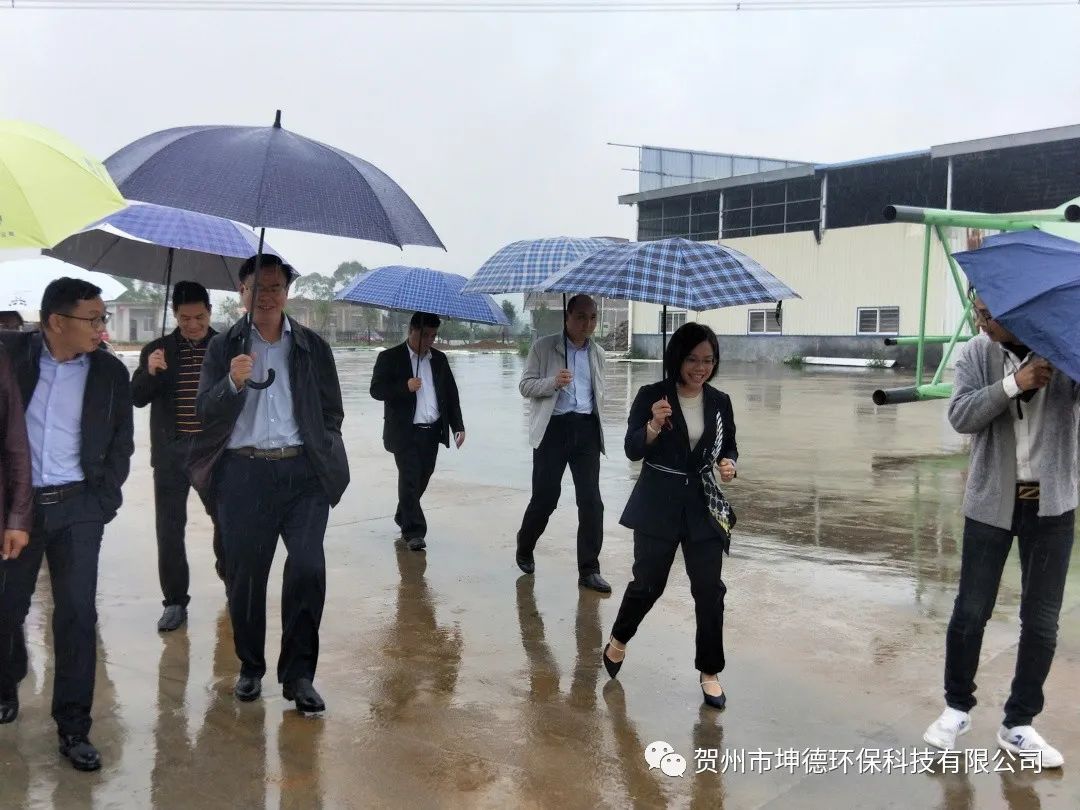 钟山县县委书记唐先程、县长陈书莹、生态环境局林瑞春局长等领导一行前往我公司视察