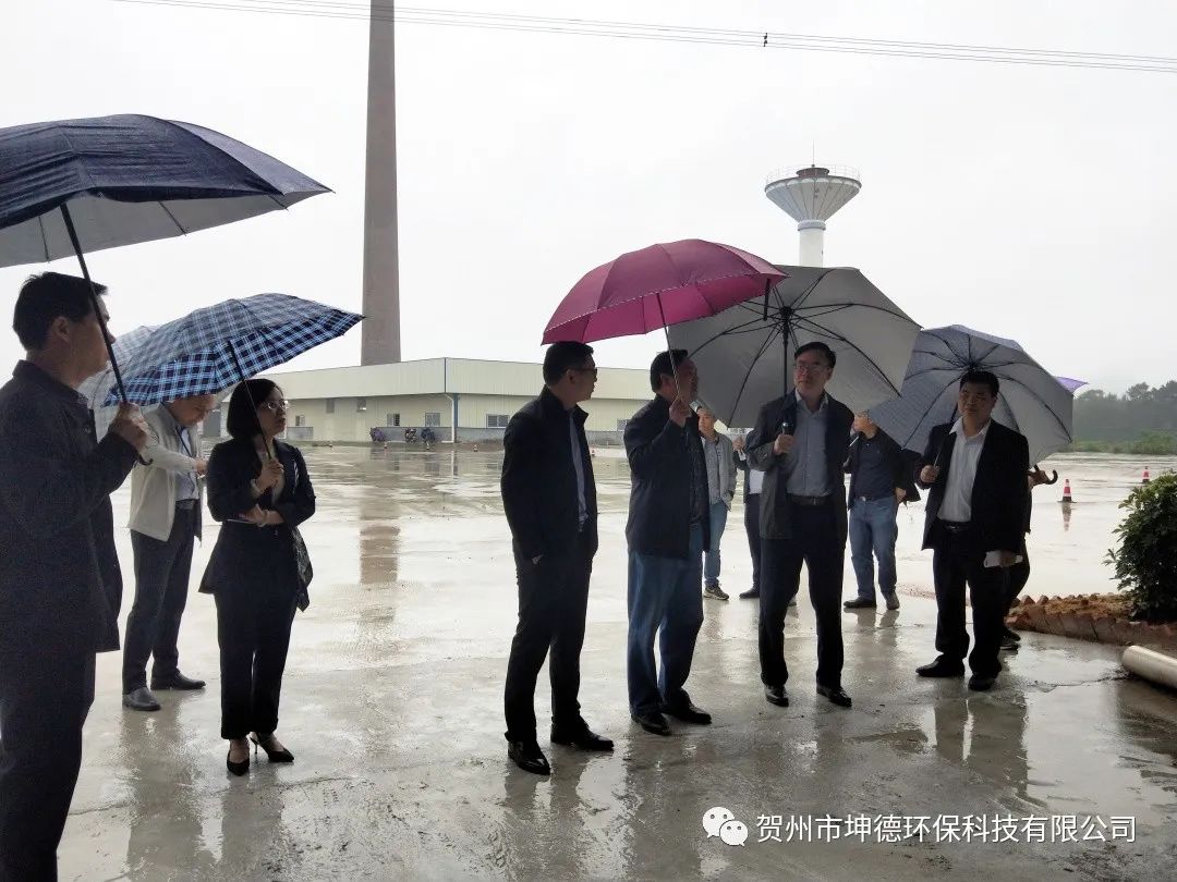 钟山县县委书记唐先程、县长陈书莹、生态环境局林瑞春局长等领导一行前往我公司视察(图5)