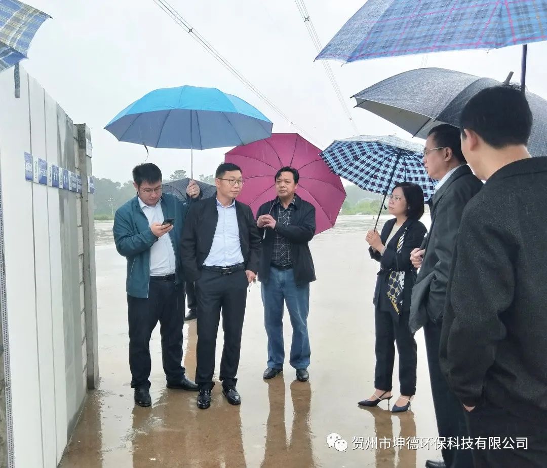 钟山县县委书记唐先程、县长陈书莹、生态环境局林瑞春局长等领导一行前往我公司视察(图4)