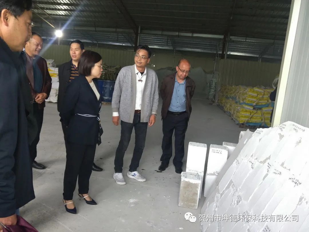 钟山县县委书记唐先程、县长陈书莹、生态环境局林瑞春局长等领导一行前往我公司视察(图3)