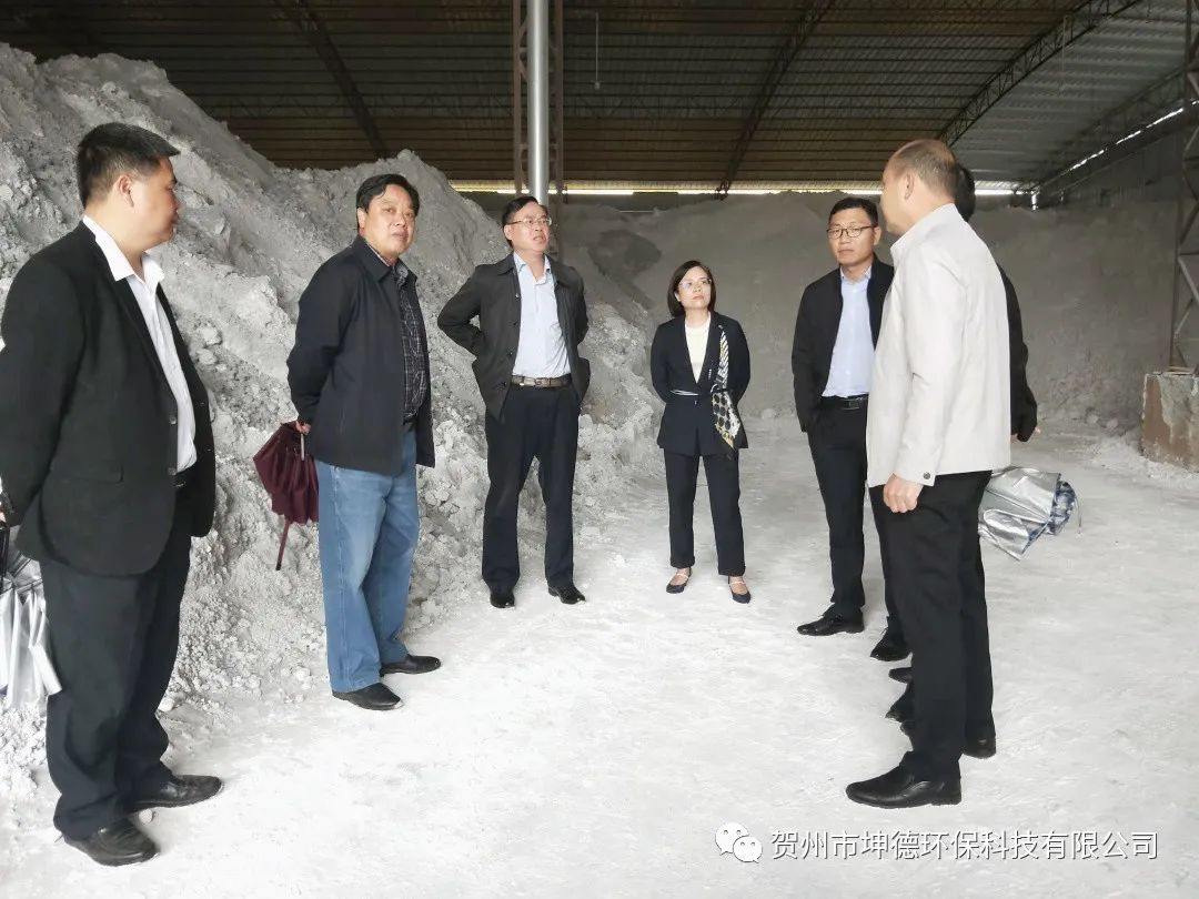 钟山县县委书记唐先程、县长陈书莹、生态环境局林瑞春局长等领导一行前往我公司视察(图2)