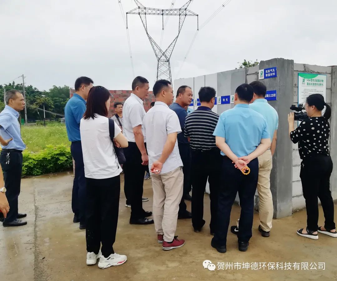 贺州市人大常委会副主任卿汤义等领导一行莅临我司指导(图2)