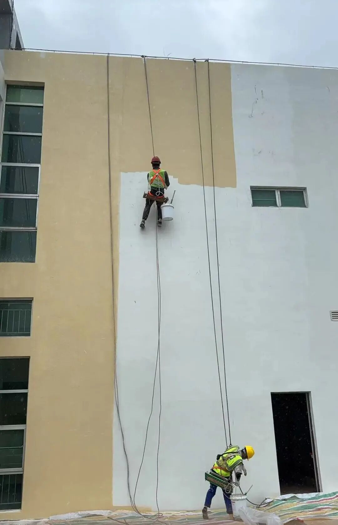 自然算法生成美学—坤德 145# 图灵系列涂料(图7) 自然算法生成美学—坤德 145# 图灵系列涂料(图7)