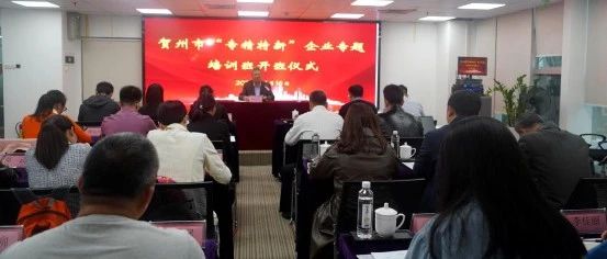 深度学习｜企业踏入”专精特新”发展新征程